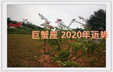 巨蟹座 2020年运势